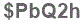 The text to enter in the texbox below is: $PbQ2h