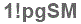 The text to enter in the texbox below is: 1!pgSM