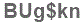 The text to enter in the texbox below is: BUg$kn