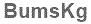 The text to enter in the texbox below is: BumsKg