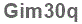 The text to enter in the texbox below is: Gim30q