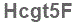 The text to enter in the texbox below is: Hcgt5F
