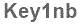The text to enter in the texbox below is: Key1nb