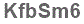 The text to enter in the texbox below is: KfbSm6