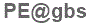 The text to enter in the texbox below is: PE@gbs