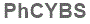 The text to enter in the texbox below is: PhCYBS