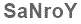 The text to enter in the texbox below is: SaNroY
