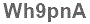 The text to enter in the texbox below is: Wh9pnA