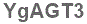 The text to enter in the texbox below is: YgAGT3