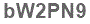 The text to enter in the texbox below is: bW2PN9