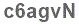 The text to enter in the texbox below is: c6agvN