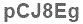 The text to enter in the texbox below is: pCJ8Eg