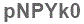The text to enter in the texbox below is: pNPYk0