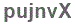 The text to enter in the texbox below is: pujnvX