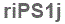 The text to enter in the texbox below is: riPS1j