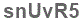 The text to enter in the texbox below is: snUvR5