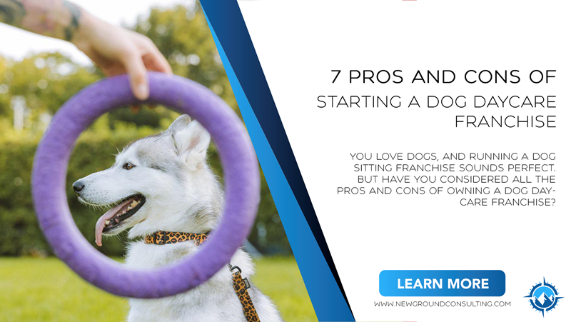 is dog boarding a profitable business