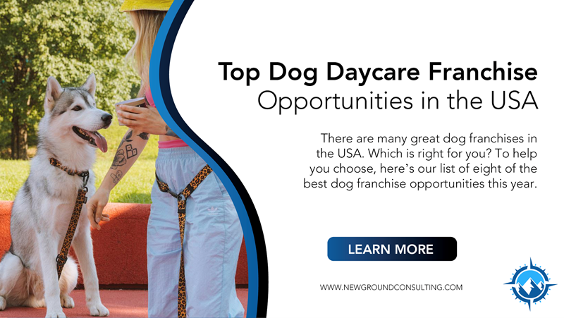 Top Dog Daycare Franchise Opportunities in the USA