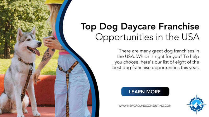 Dog Daycare Franchise Opportunities the USA