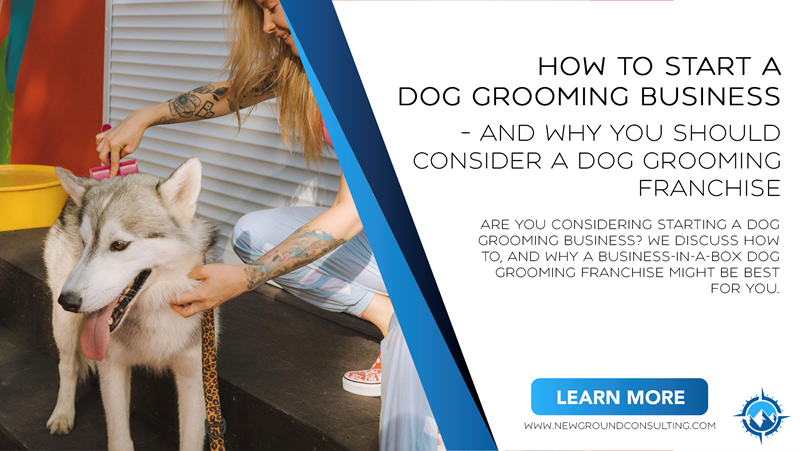 How to Start a Dog Grooming Business – and Why You Should Consider a Dog Grooming Franchise