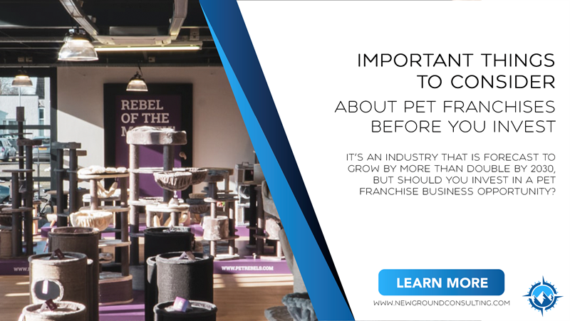Important Things to Consider About Pet Franchises Before You Invest
